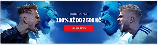 Bankonbet Casino – online kasino s bonusy a hrami